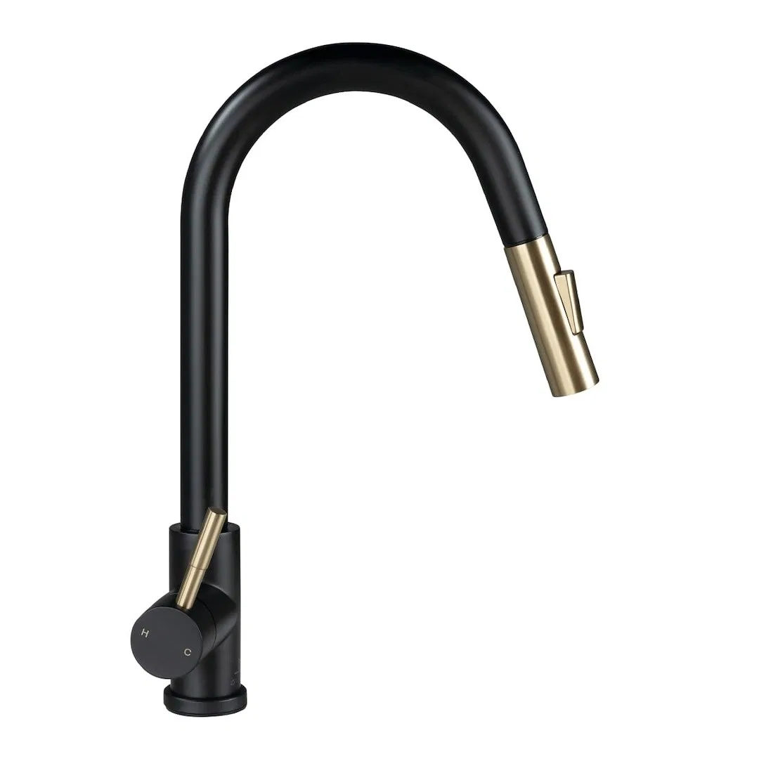 2024000071 – LIPPERT COMP Faucet, Used For Kitchen Single Piece Deck Mount Bullet Pull Down Spout Single Lever Handle...